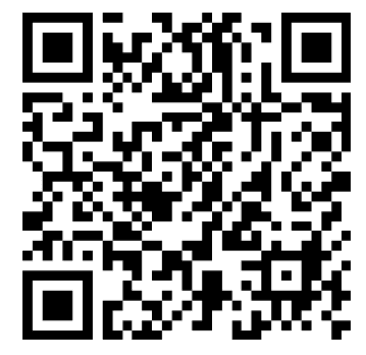 Mẫu 3: QR only